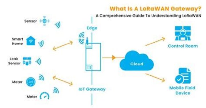 "Say That Again" A Gateway To Enhanced Communication