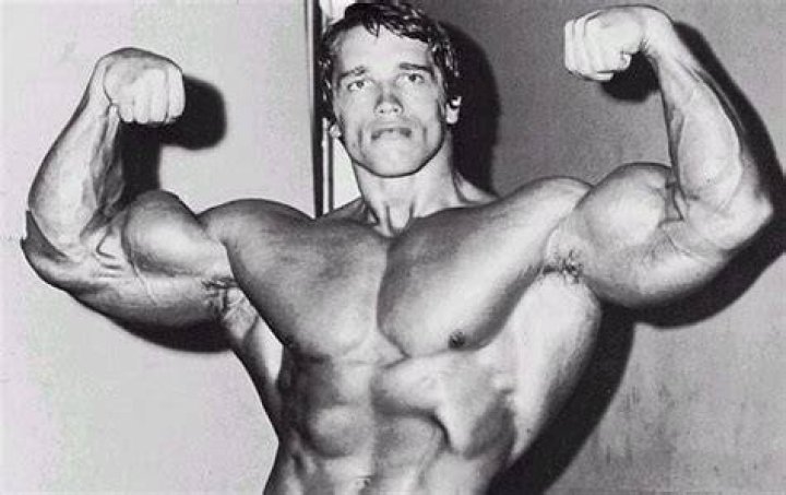 Schwarzenegger's mistress breaks silence