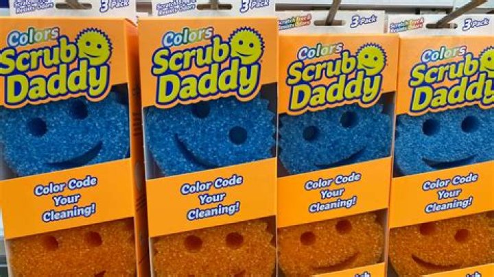 Scrub Daddy Net Worth 2022 What Happened After Shark Tank Insider
