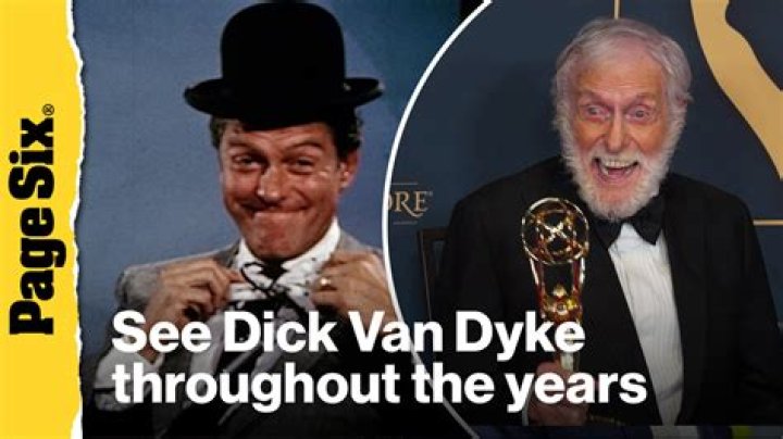 See Dick Van Dyke's Son & 'Diagnosis Murder' CoStar, Barry, Now