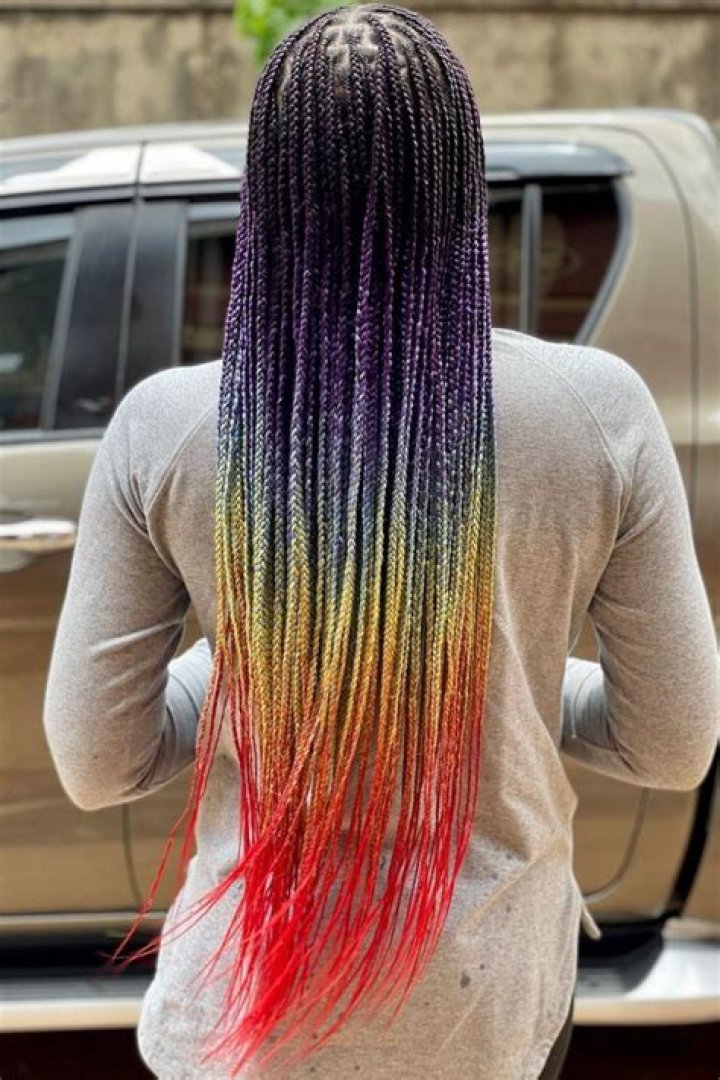 Shameless Maya rainbow cornrows Braids for black women, Big hair