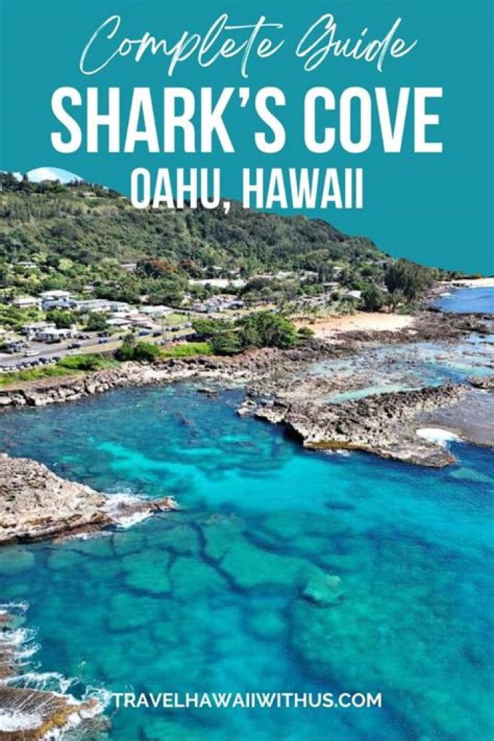 Shark Beach Hawaii