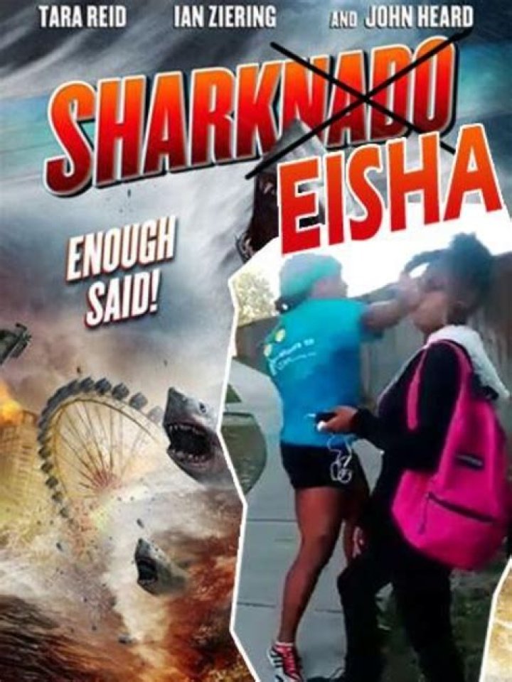 Sharkeisha Thompson Video Horrific Punch Goes Viral