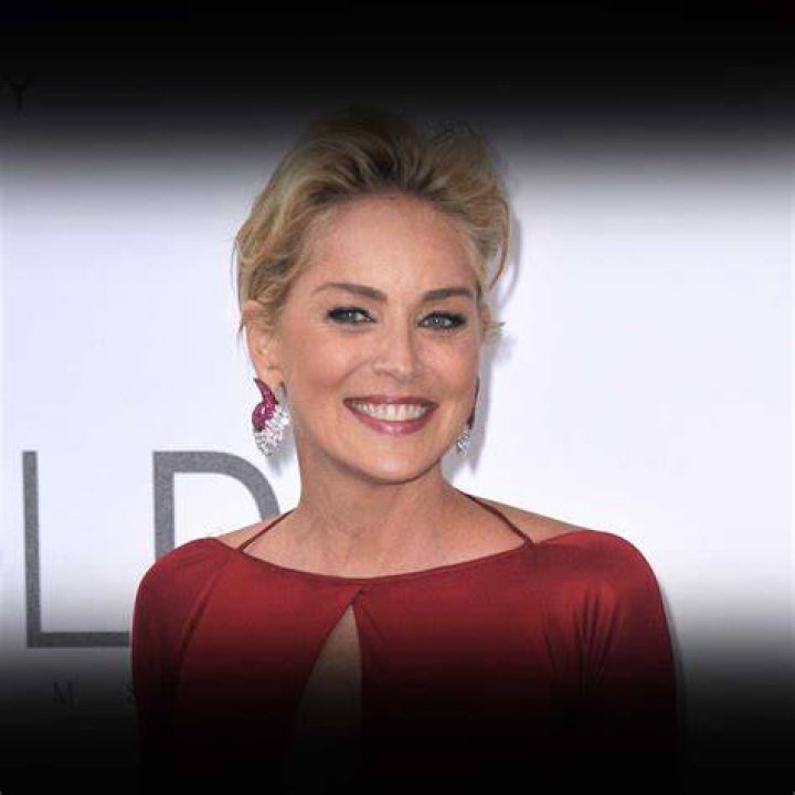 Sharon Stone's Current Relationship Status, Va-divorced