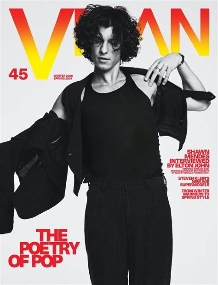 Shawn Mendes, Vman Magazine, Jhonny Deep, Surfer Boys, The Pogues