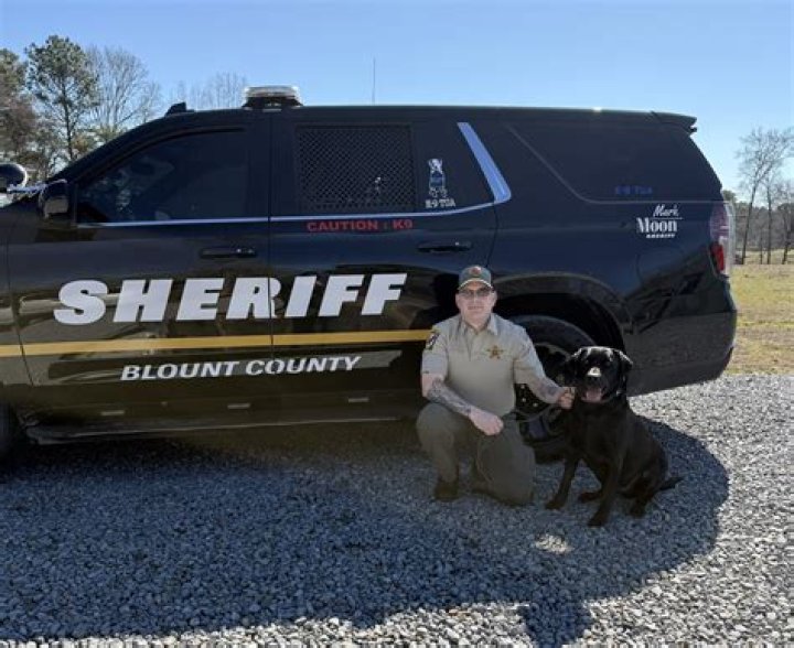Shocking News! Blount County ShootingWhat Actually Happened? An