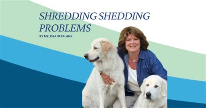 Shredding Shedding Problems Be a Better Groomer