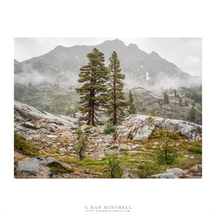 Sierra Rain image