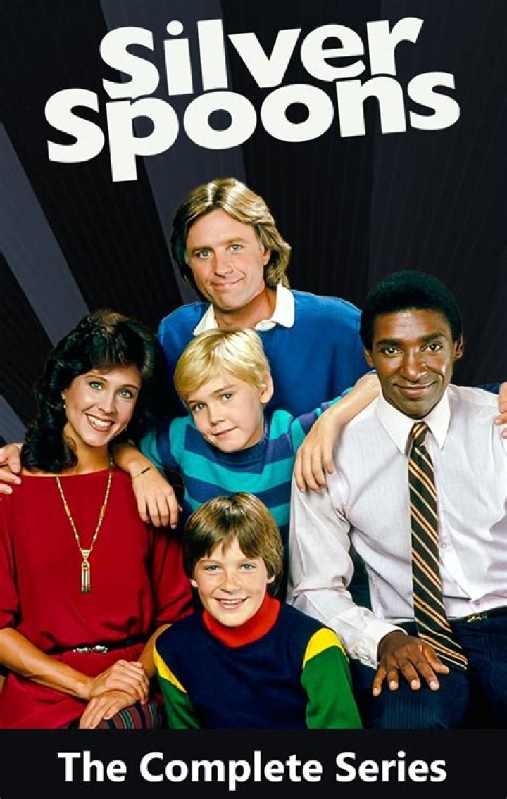 Silver Spoons (1982)