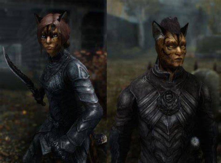 Skyrim khajiit race mod