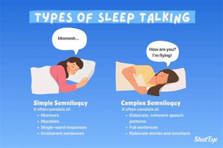 Sleep Talking Our Sleep Guide
