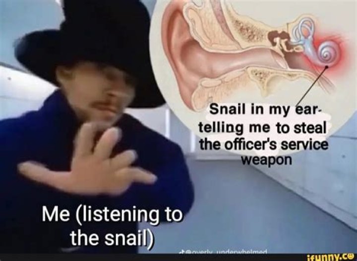 Snail in My Ear Telling Me to Give Off Bad Vibes to Harm Empaths
