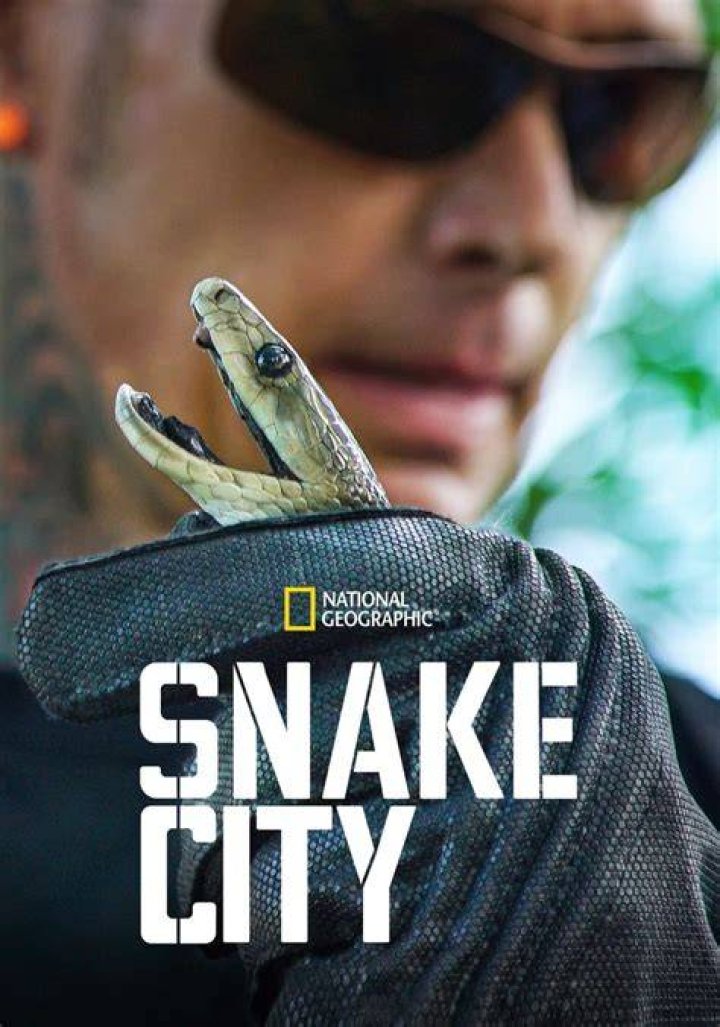 Snake City Simon Keys Net Worth Snake Poin