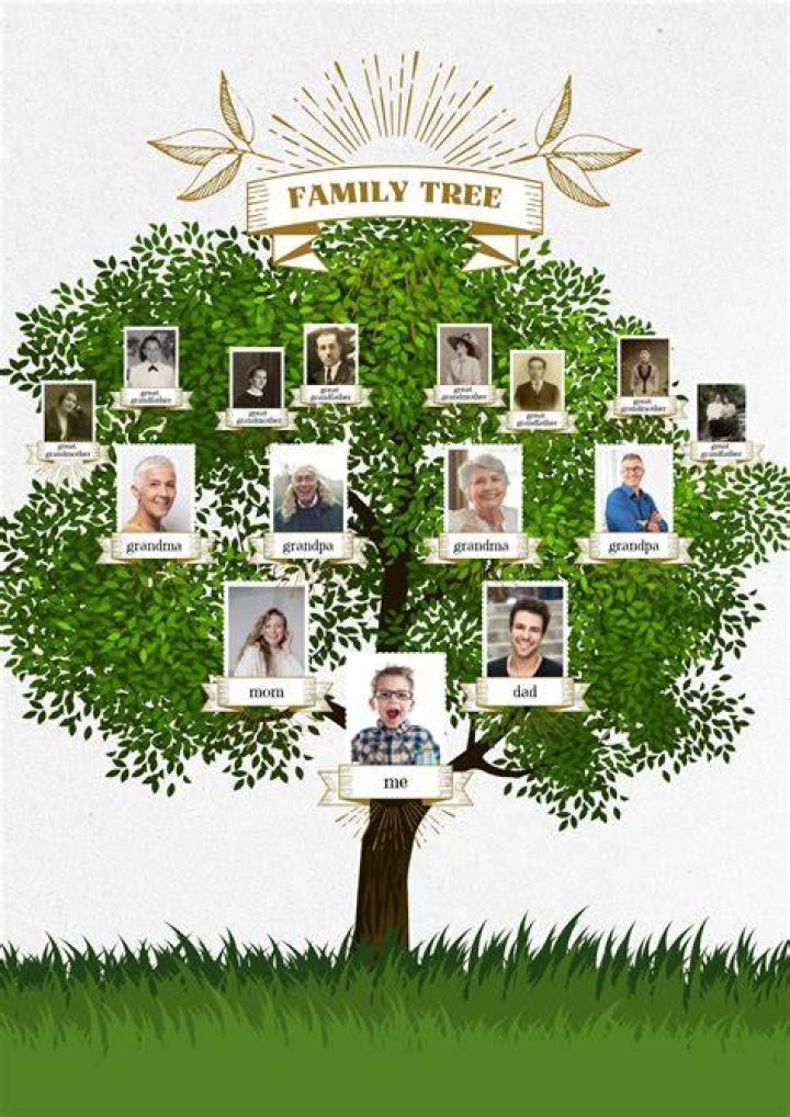 Sozahdah Family Tree Sozahdah Family Tree