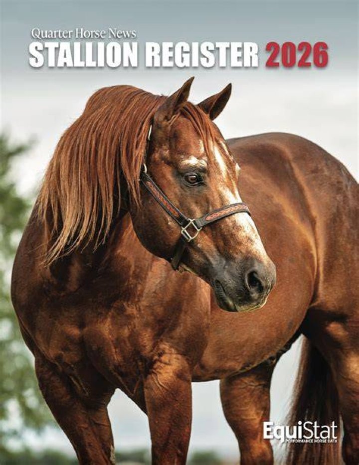 Stallion Stats on Twitter "Megan Thee Stallion & Travis Kelce