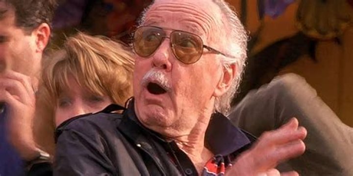 Stan Lee Said These 2 Marvel Stars Were 'Born to Play' Their Roles