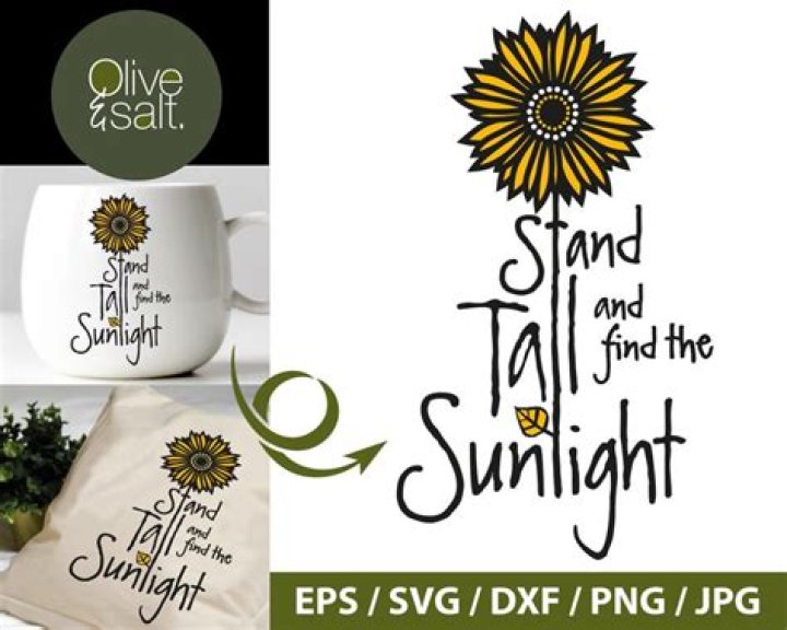 Stand Tall and Find The Sunshine Sublimation PrintN Puttin on the