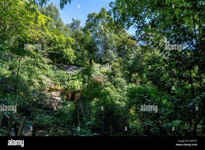 Standen hires stock photography and images Alamy