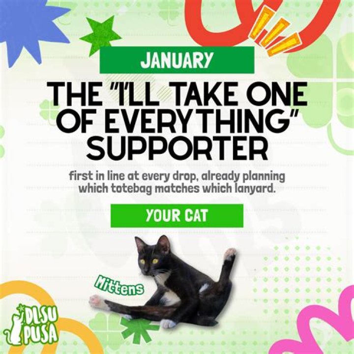 Staunch supporter of cat friendly practices, Dr. Elizabeth Colleran