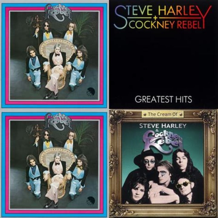 Steve Harley on Spotify