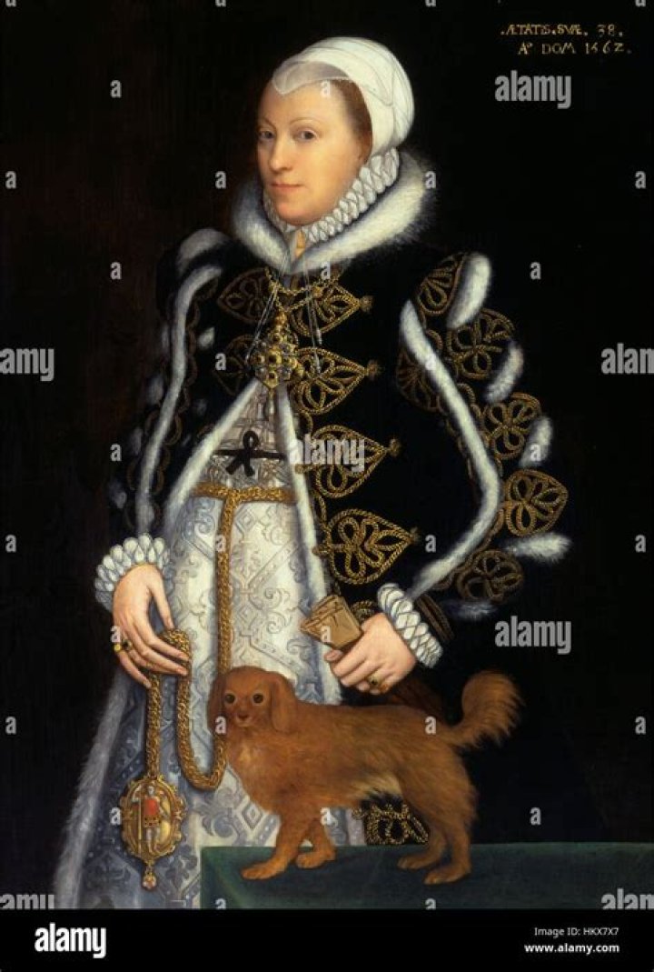 Steven van der Meulen Catherine Carey Lady Knollys 1562 Tudor history
