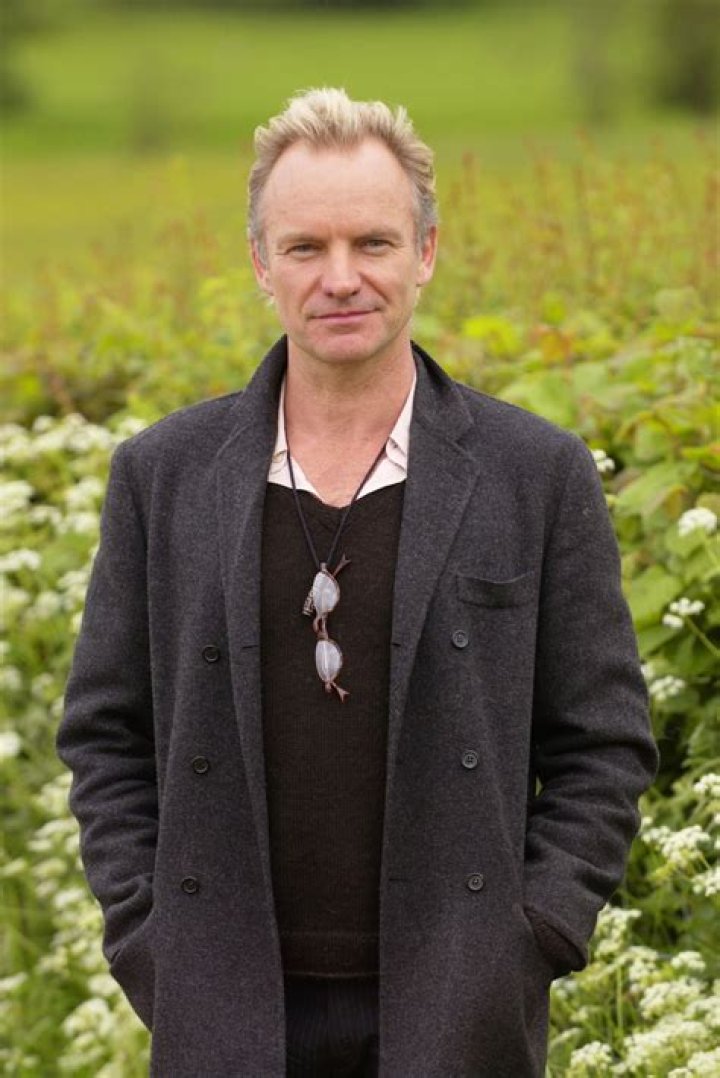Sting Sting Photo (30571929) Fanpop