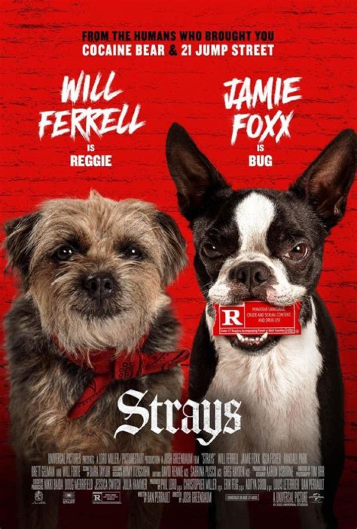 Strays (2023) Collider
