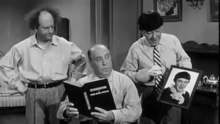 Streaming Time Capsule The Three Stooges&rsquo; Last Film The TV Professor