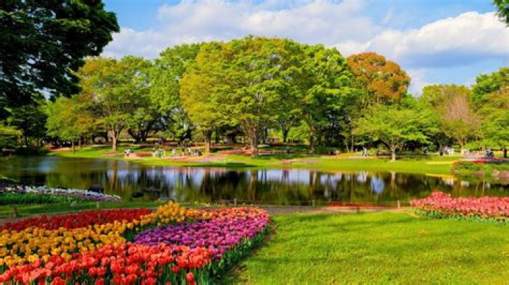 Stunning Botanical Gardens You Won&rsquo;t Believe Are Free Garden design