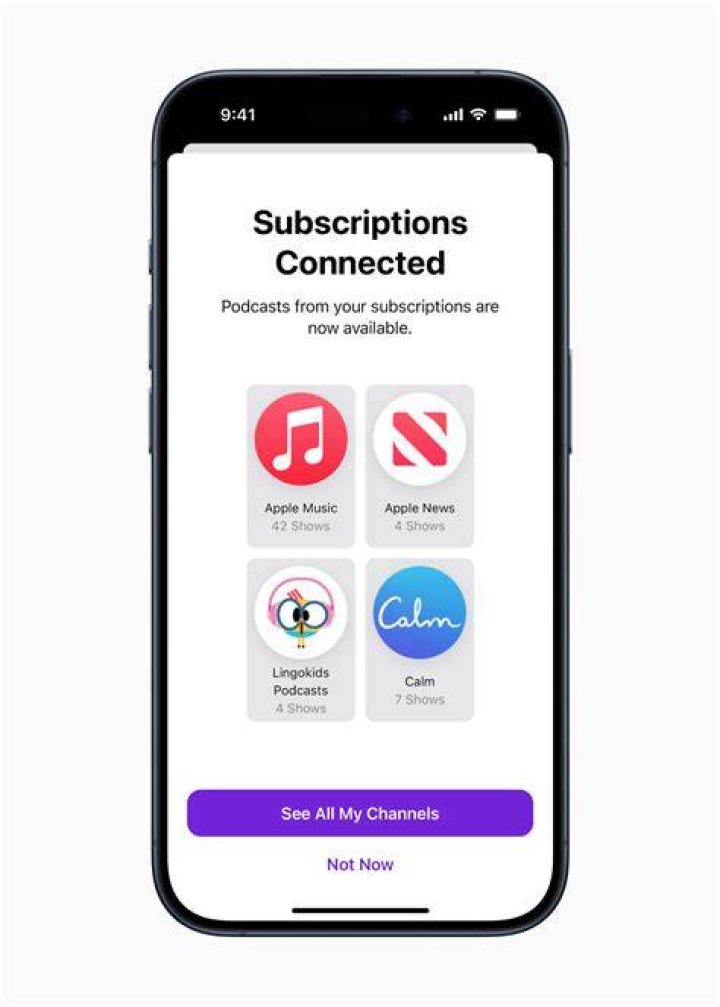 SUBSCRIBE IN APPLE PODCASTS