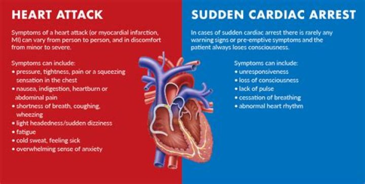 Sudden Cardiac Arrest and the Chain of Survival