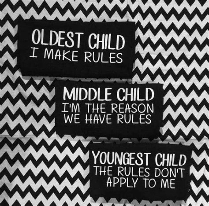 Sums it up Middle child quotes, Middle child, Sister quotes