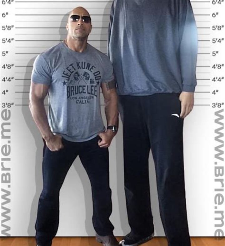 Sun Mingming Height Brie