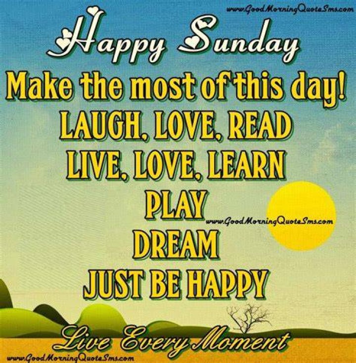 Sunday Funday Quotes, Sunday Quotes Funny, Happy Weekend Quotes, Funny
