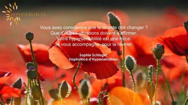 Sur cette page nous vous faisons le classement des meilleurs sites de