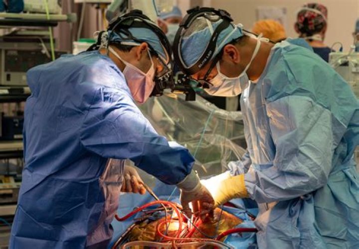 Surgeon and his two young kids killed in plane crash US News Metro News