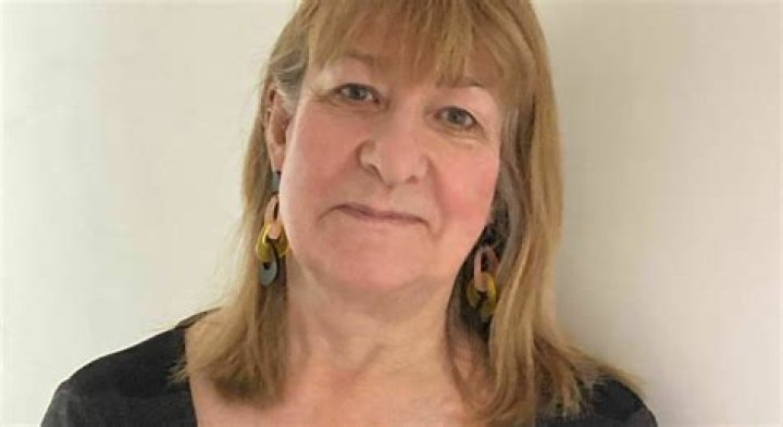 Susan Robertson Oriel Davies Gallery
