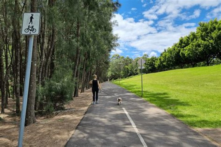 Sydney Park is wellknown for the movie, Instant Movie Career, Net