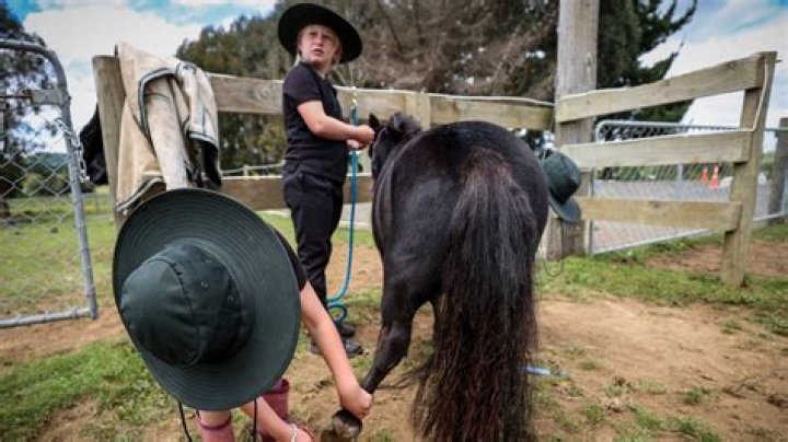 Taking lessons on the hoof