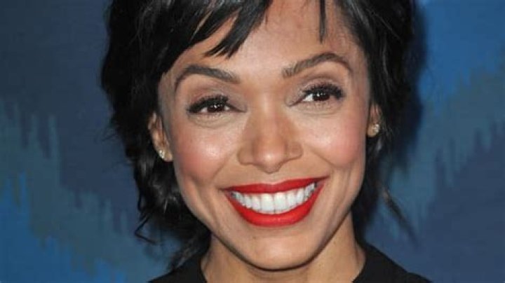 Tamara Taylor Biography, Height & Life Story Super Stars Bio