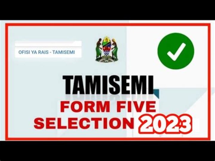TAMISEMI Form Five Selection 2023 Waliochaguliwa