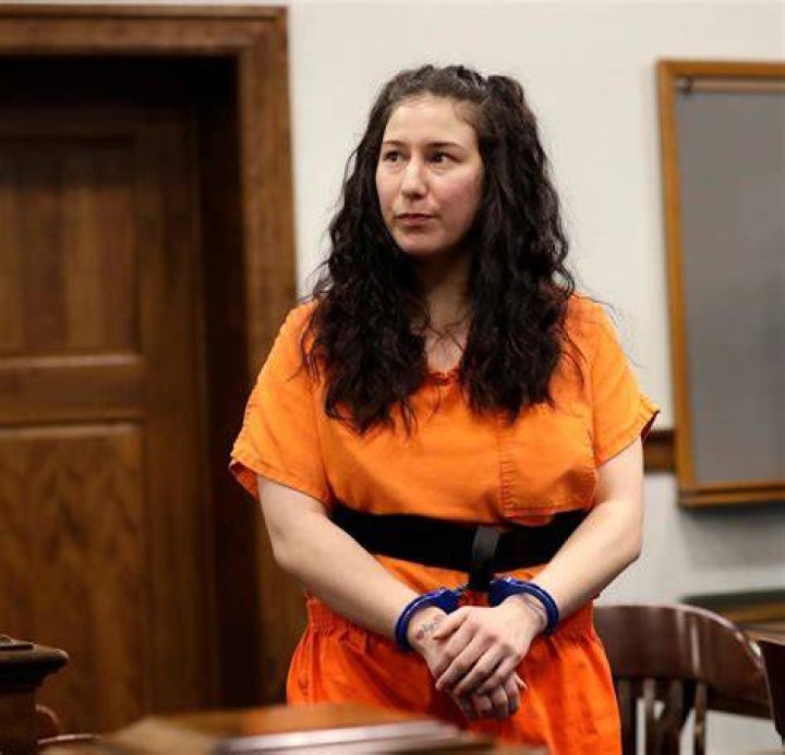 Taylor Schabusiness lawyer asks Brown County judge to allow new mental