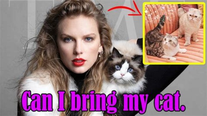 Taylor Swift cats&rsquo; names How many cats does T Swift&hellip;