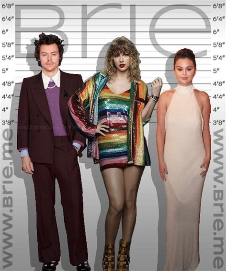 Taylor Swifts Height, Weight, and 8 Other Facts About The American Singer