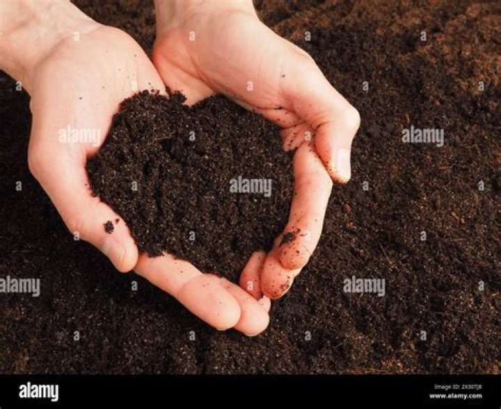 Team Heart & Soil