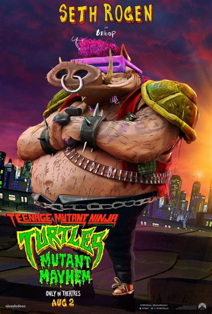 Teenage Mutant Ninja Turtles Out of the Shadows Cast and Crew Tvwish