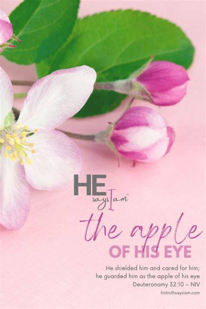 The Apple of His Eye Layal Holm & Seyi Tinubu's PreWedding Photos