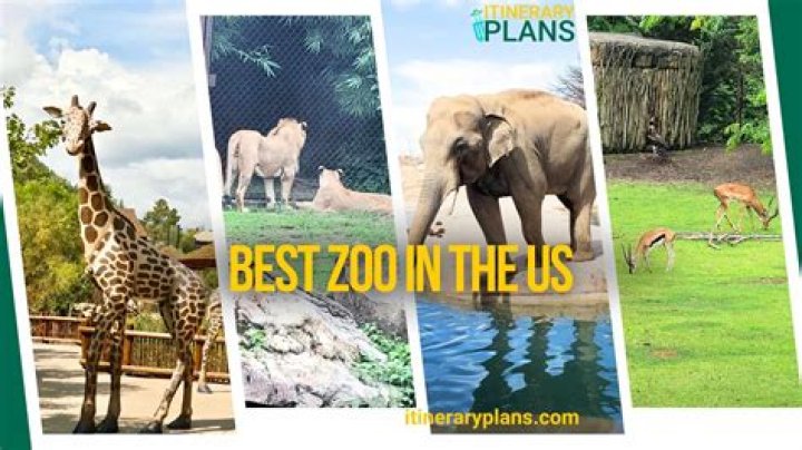 The best zoo in the World