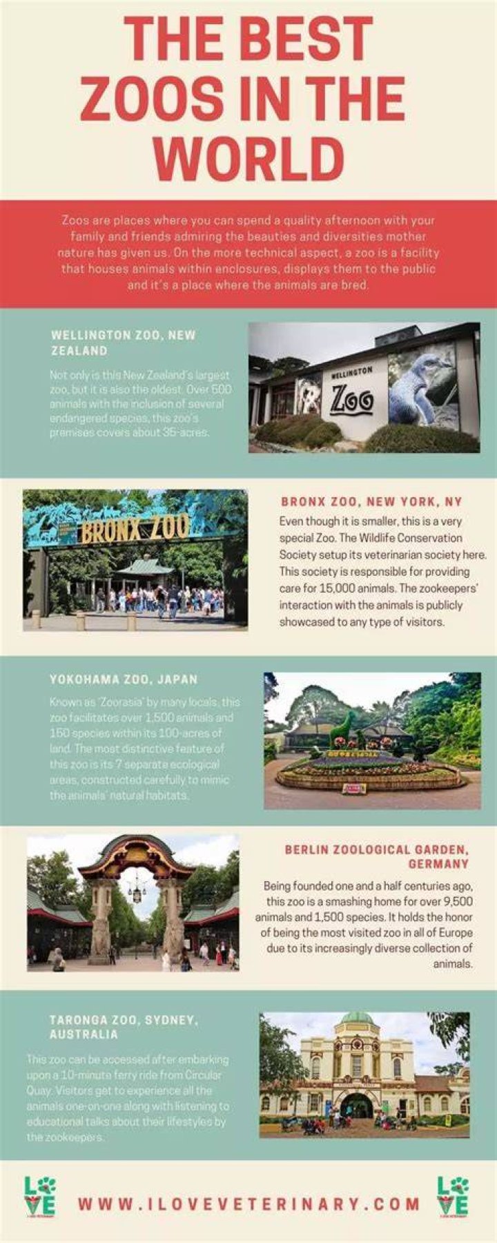 The Best Zoos in the World