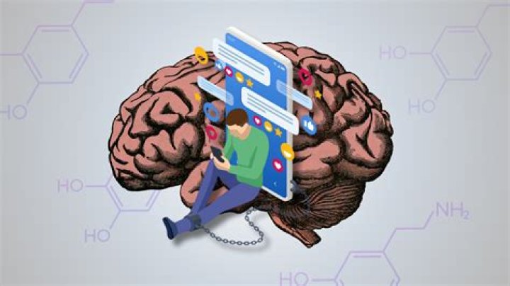 The Brain & Culture A Symbiotic Relationship Dr Iain McGilchrist